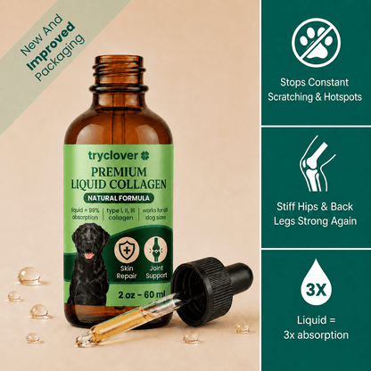 Clover Premium Liquid Collagen