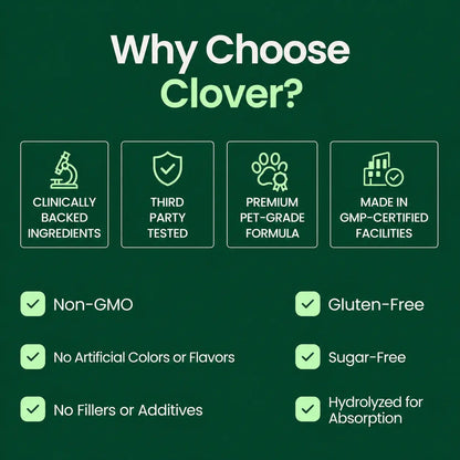 Clover Premium Liquid Collagen